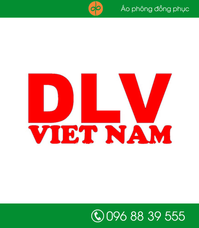 đồng phục bảo hộ công ty DLV Việt Nam 